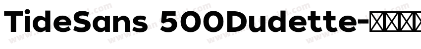 TideSans 500Dudette字体转换